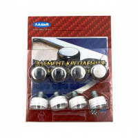 Болты номерного знака в блистере с хром-колпачком