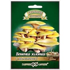 Семена Грибы Вешенка золотая Лимонная на древесн.палочке