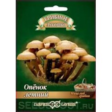 Семена Грибы Опенок летний на древесн.палочке