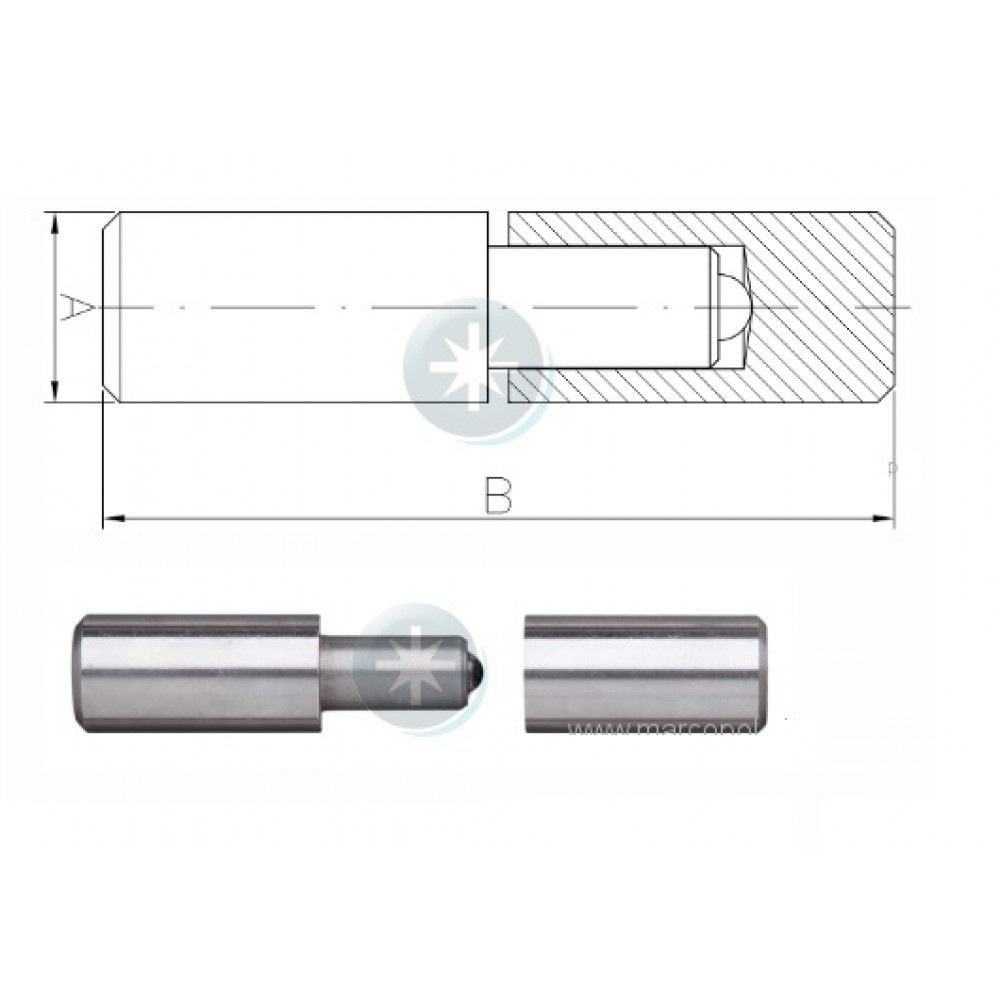 Петля ZTK 16  16*65