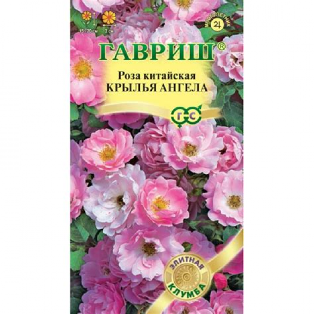Семена Цветы Роза китайская Крылья ангела 5 шт. серия Элитная клумба