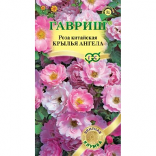 Семена Цветы Роза китайская Крылья ангела 5 шт. серия Элитная клумба