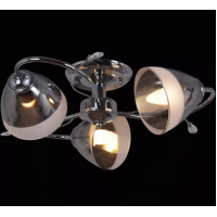 Светильник потолочный  32283-0.3-03