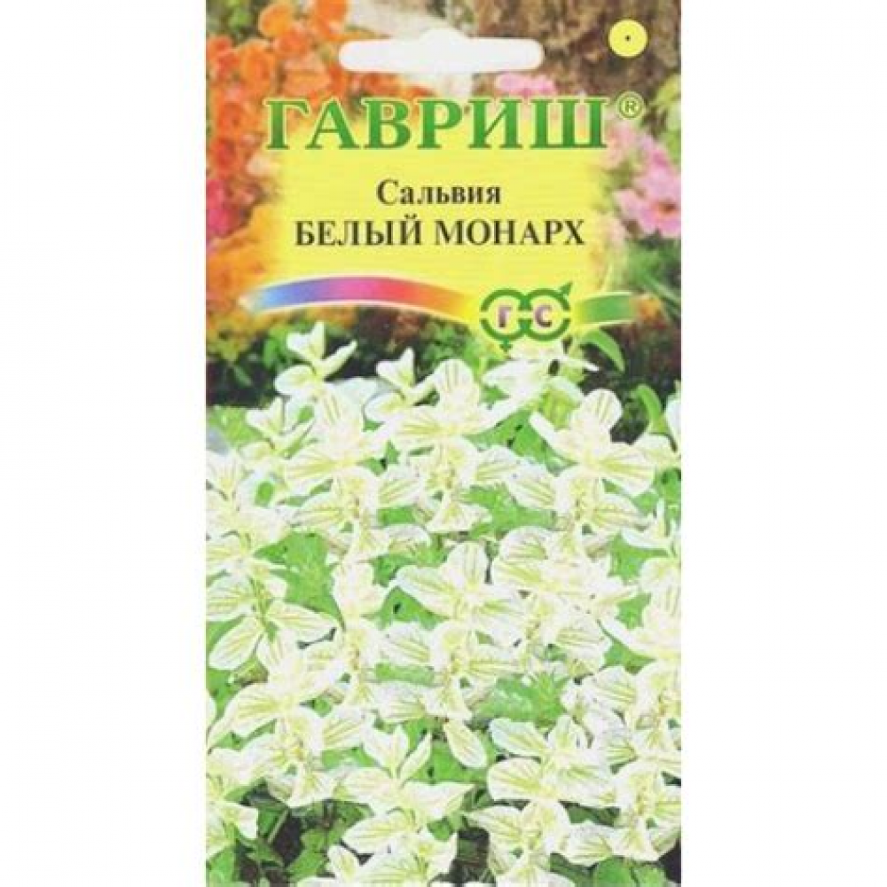 Семена Цветы Сальвия Белый Монарх (хорминум) 0,05г