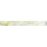 Плитка бордюр Rapsodia оливковая 01 600х65 1с (010214001061)