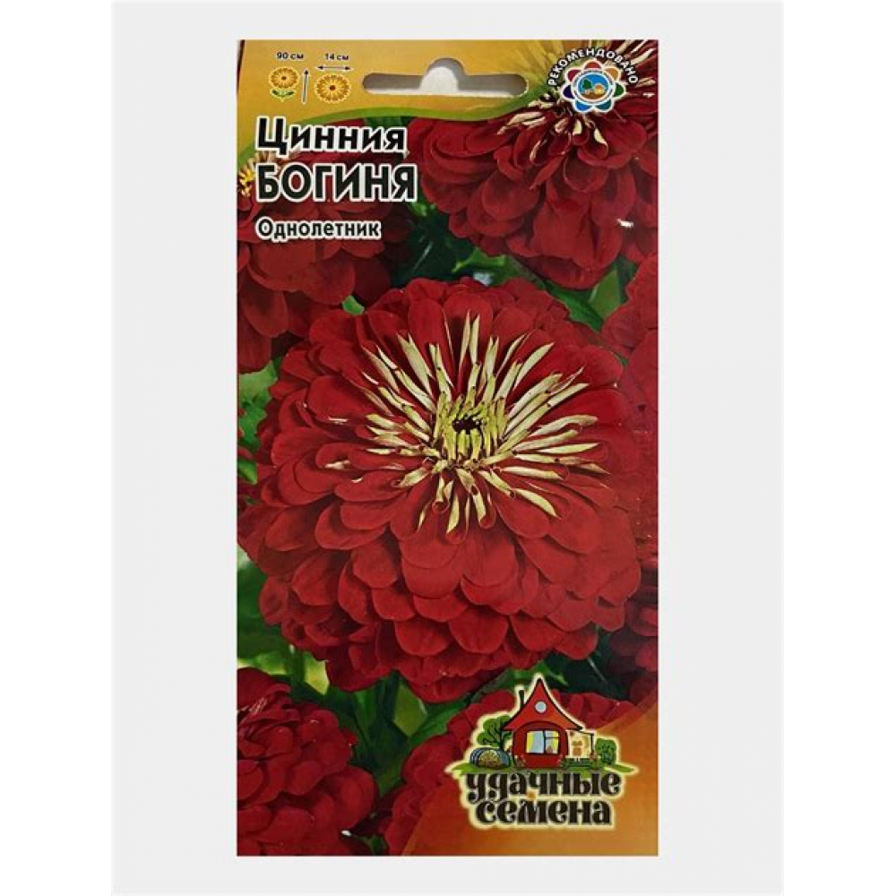 Семена Цветы Цинния Богиня кактусовидная