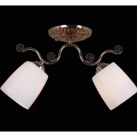 Светильник потолочный  31409-0.3-02