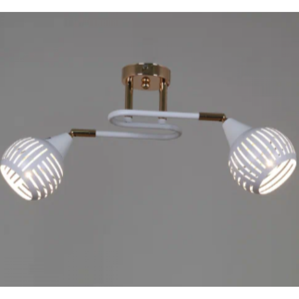 Светильник потолочный 70059-3.3-02 FG+WH