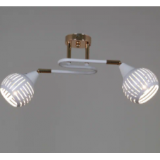 Светильник потолочный 70059-3.3-02 FG+WH