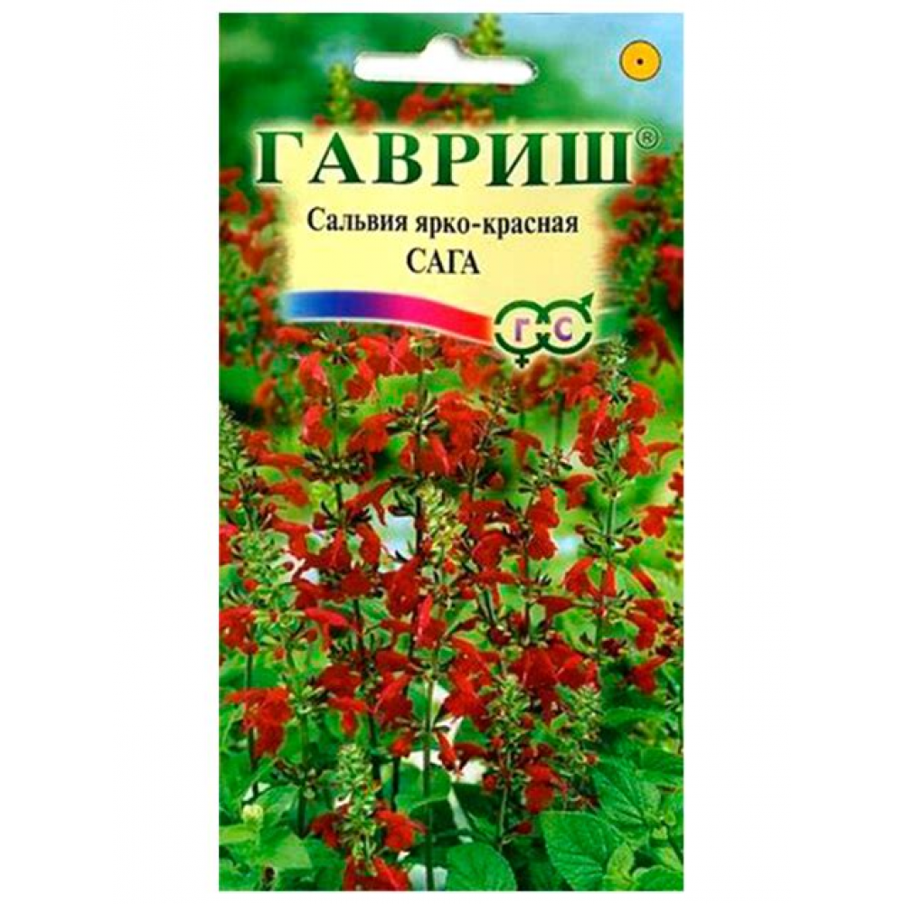 Семена Цветы Сальвия Сага ярко-красная 0,05 гр. 