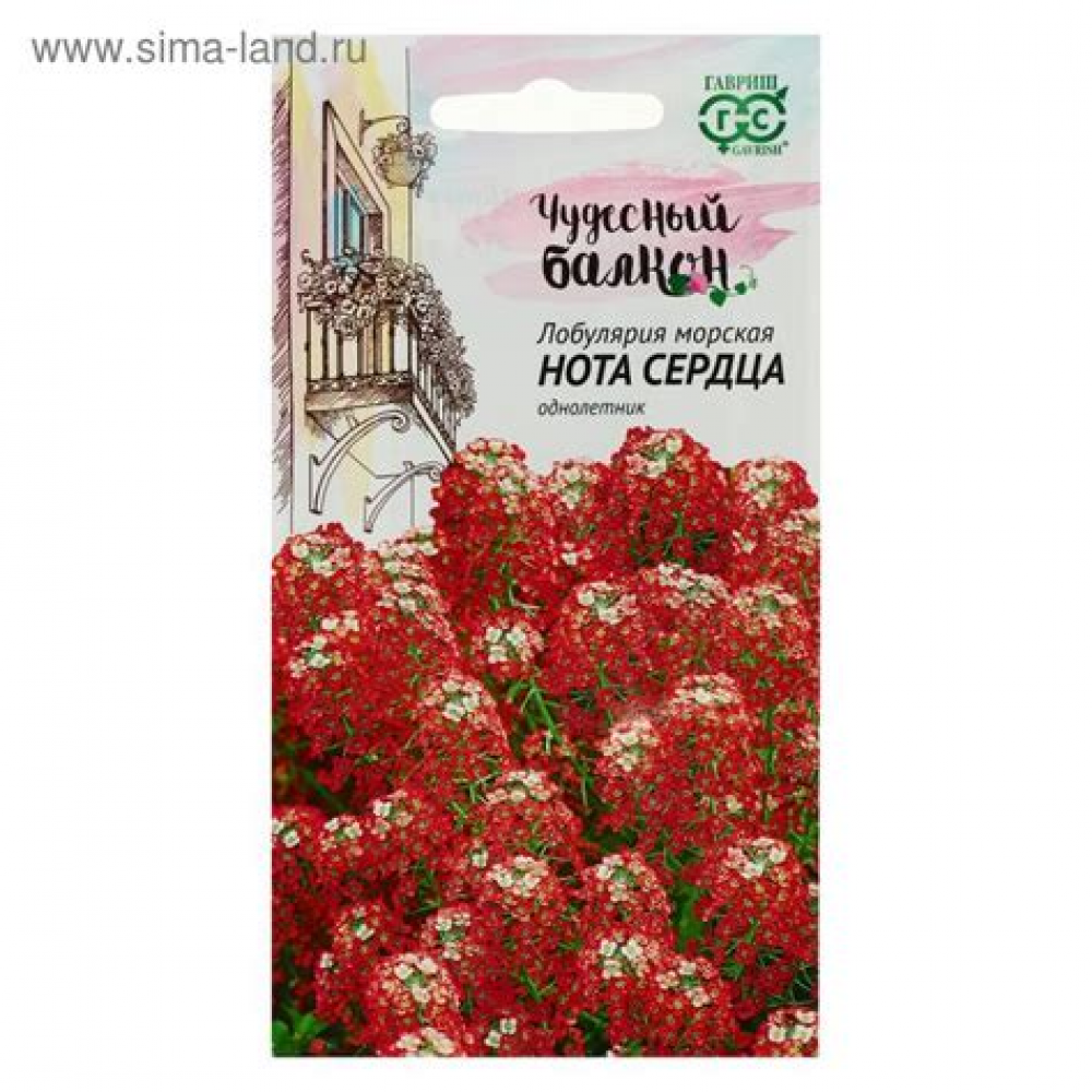 Семена Цветы Лобулярия Морская нота сердца 0,1 гр. серия Чудесный балкон 
