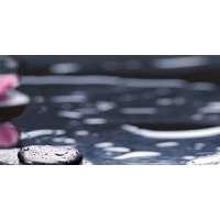 Плитка декор настенная Орхидея черный 500х250х9 (сортовые 04-01-1-10-04-04-162-2) АКЦИЯ 10%