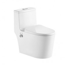 Унитаз-моноблок 5003В с биде безободковый EG050014