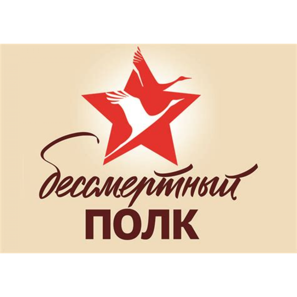 Доводчик №5S до 160кг (черный) морозостойкий 