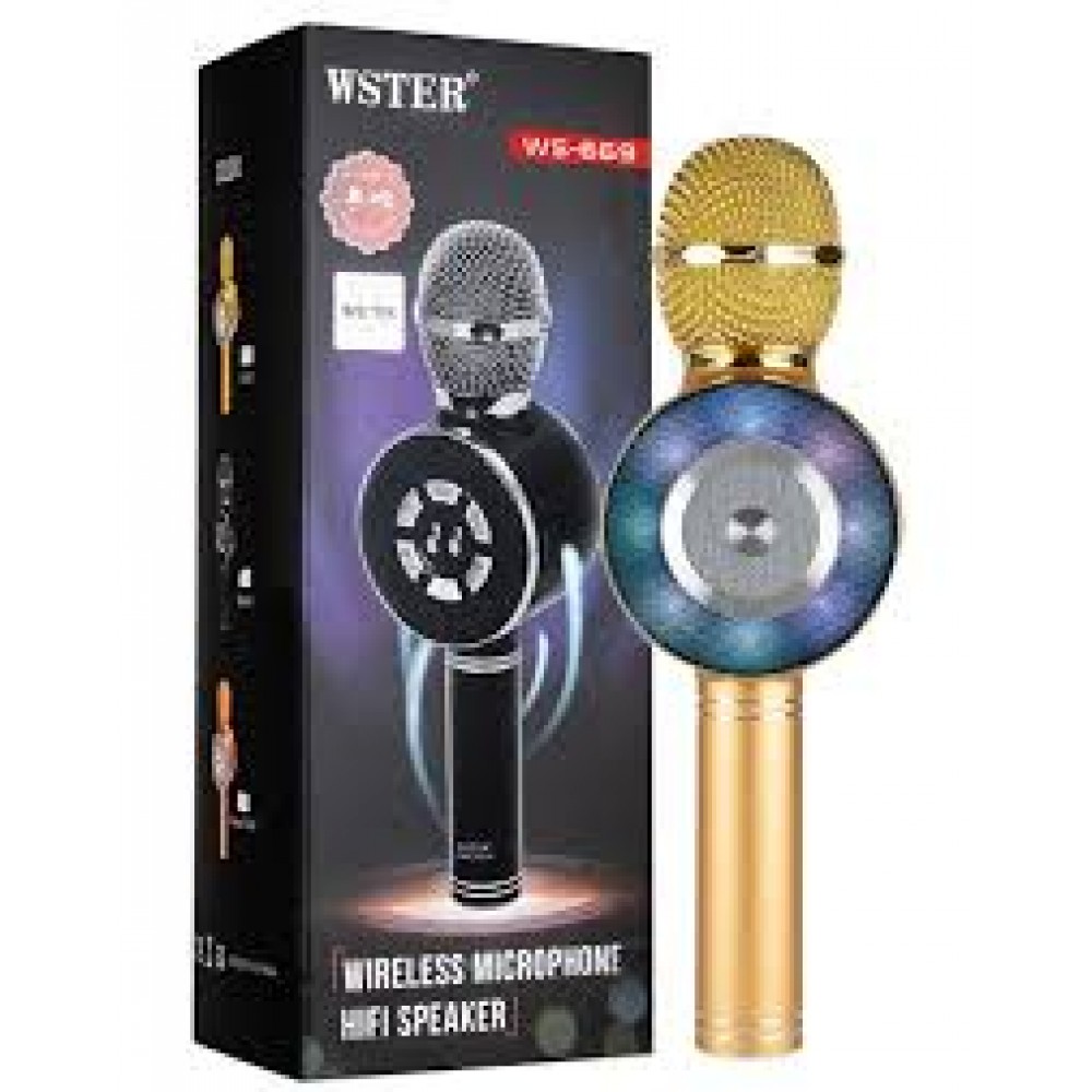 Микрофон WSTER WS-669 АКЦИЯ 20%