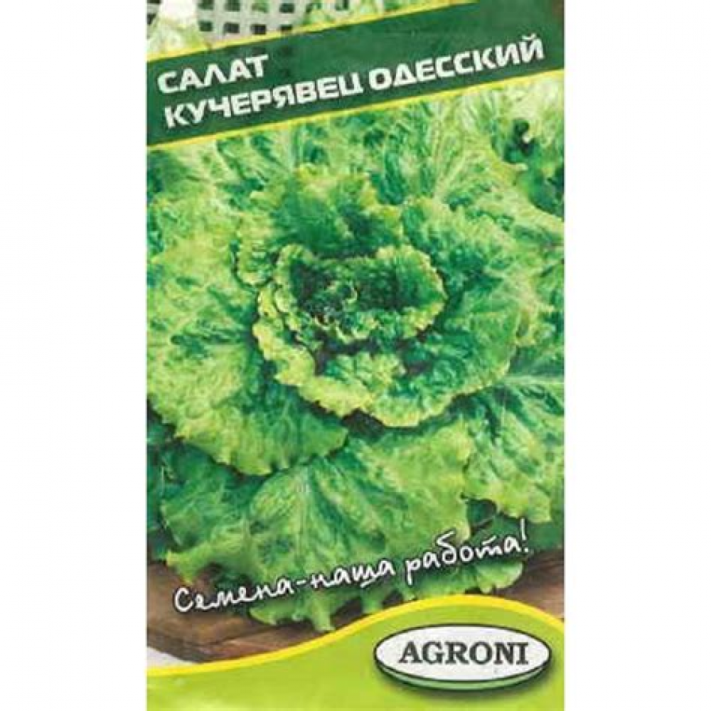Семена Салат Кучерявец Одесский хрустящий 1,0 гр. 