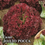 Семена Салат Лолло Росса листовой бордовый 1,0 гр.