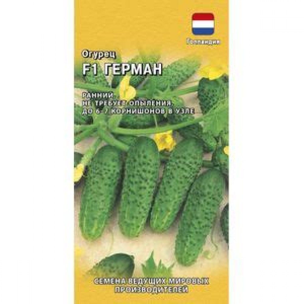 Семена Огурец грунтовый Герман F1 корнишон  5 шт. Голландия 