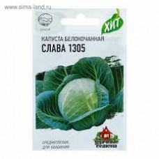 Семена Капуста белокочан. Слава 1305 0,5гр (для квашения)