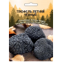 Грибы Трюфель Летний Черный