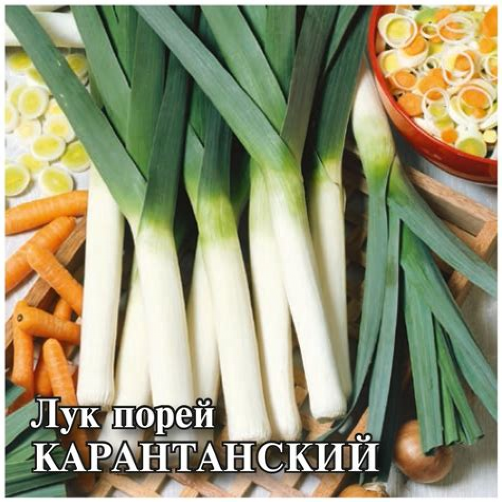 Семена Лук порей Карантанский 1,0гр.