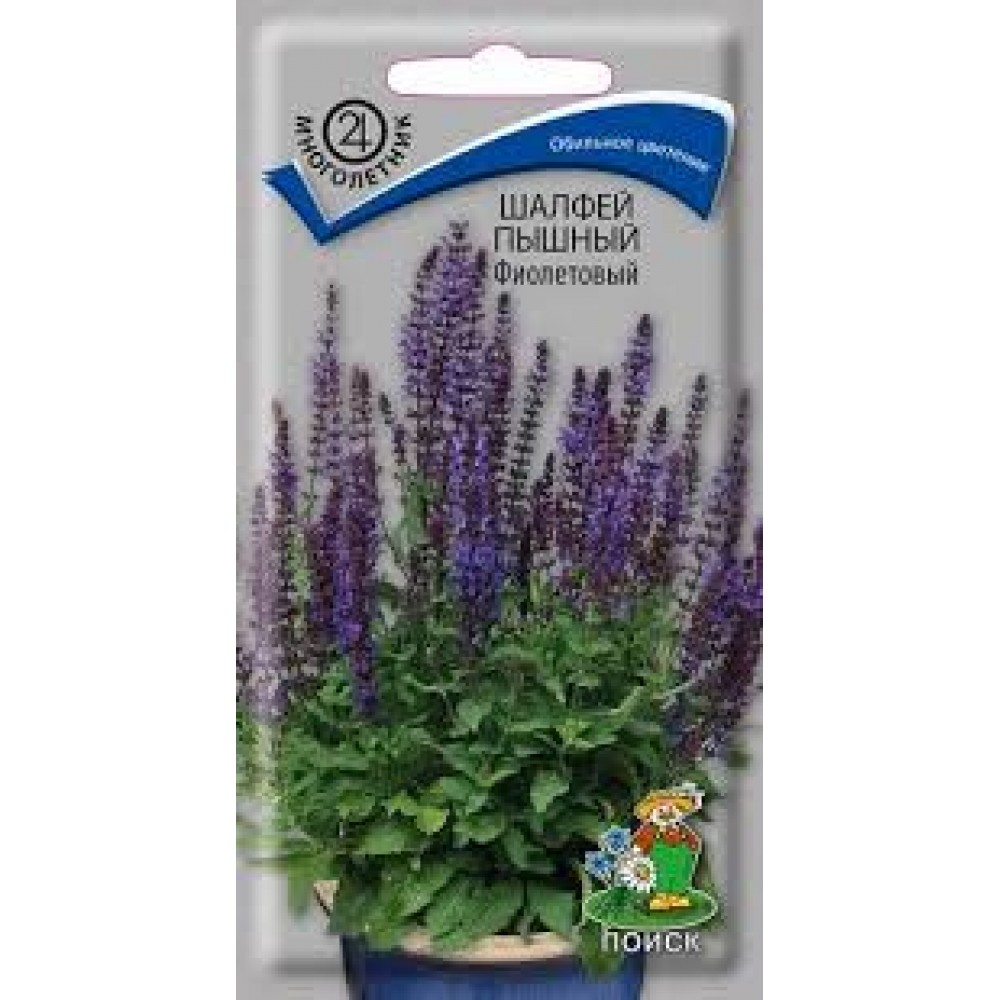 Семена Шалфей Мускатный Вознесенский 24 0,3 гр. Семена Шалфей Мускатный Вознесенский 24 0,3 гр.