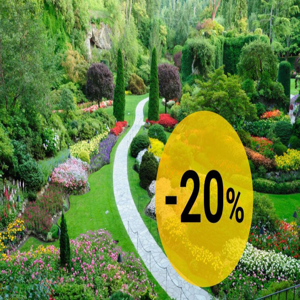 Декоративные посадочные растения скидка 20%