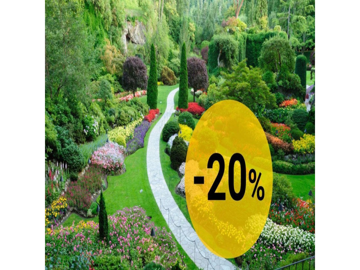 Декоративные посадочные растения скидка 20%