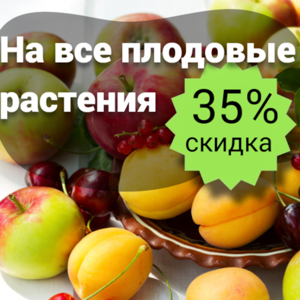 Плодовые деревья и кустарники скидка 35%