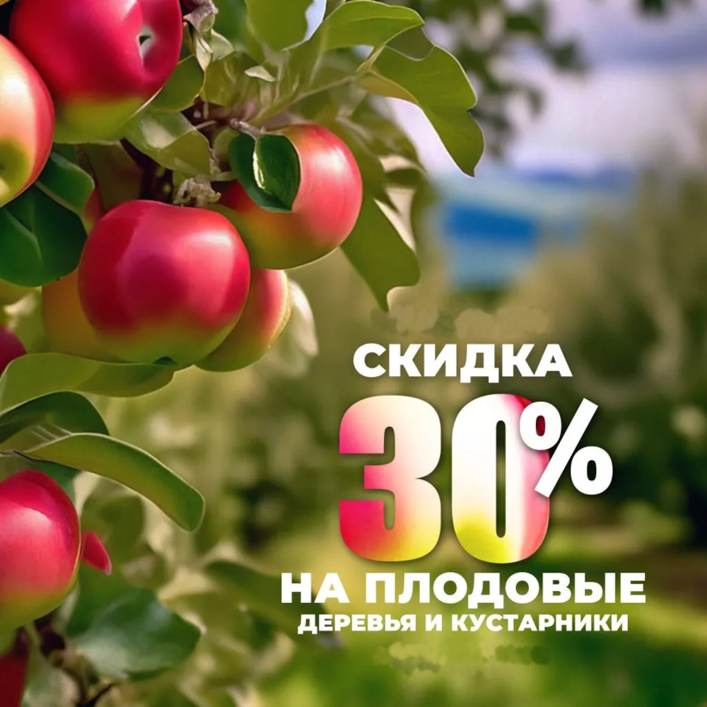 Плодовые деревья и кустарники скидка 30%